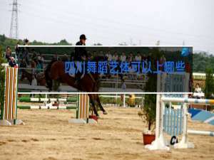 四川舞蹈艺体可以上哪些大学