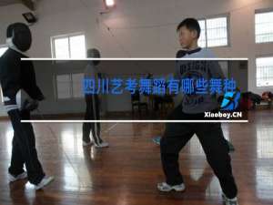 四川艺考舞蹈有哪些舞种
