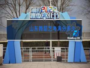 山东舞蹈艺考满分多少