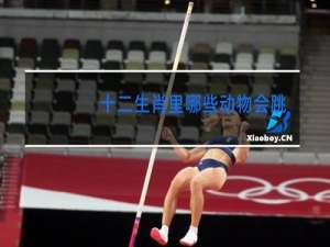 十二生肖里哪些动物会跳舞