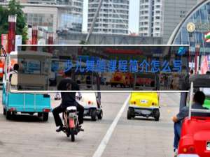 少儿舞蹈课程简介怎么写