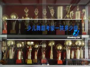 少儿舞蹈考级一共多少级