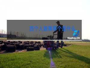 四个人跳舞那个是什么