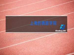 上海的舞蹈学院(大学)有哪些