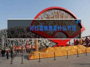 孙红雷跳舞是什么节目