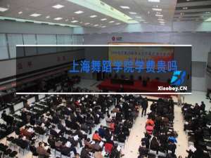 上海舞蹈学院学费贵吗