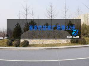 谁家的姑娘广场舞32步