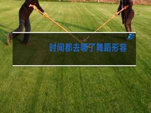 时间都去哪了舞蹈形容