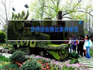 世界级街舞比赛有哪些