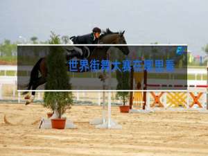 世界街舞大赛在哪里看