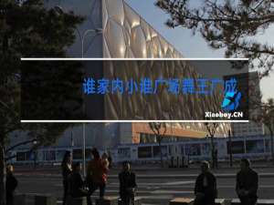 谁家内小谁广场舞王广成