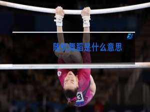 随机舞蹈是什么意思