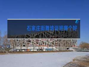 石家庄街舞培训班哪个好成人