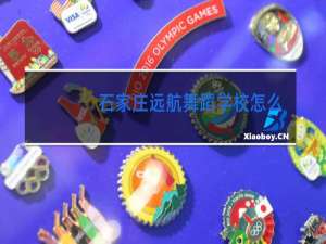 石家庄远航舞蹈学校怎么样