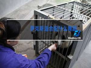 萨克斯适合配什么舞蹈