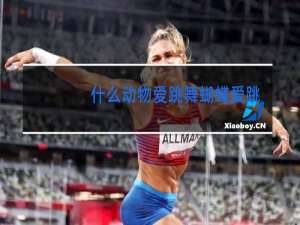 什么动物爱跳舞蝴蝶爱跳舞这个是什么问什么答