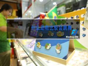 什么动物比较会跳舞