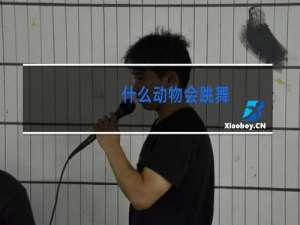 什么动物会跳舞