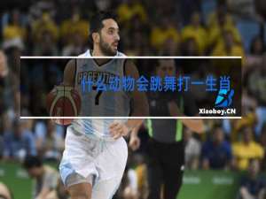 什么动物会跳舞打一生肖