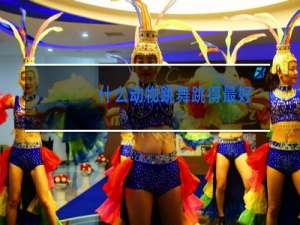 什么动物跳舞跳得最好