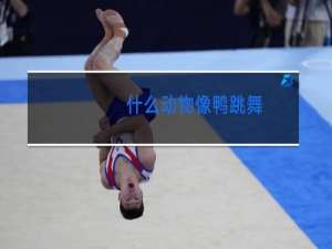 什么动物像鸭跳舞