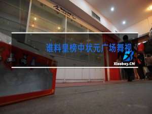 谁料皇榜中状元广场舞背面