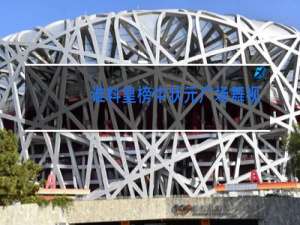 谁料皇榜中状元广场舞视频慢动作