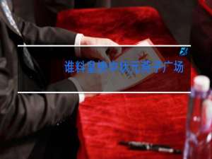 谁料皇榜中状元燕子广场舞