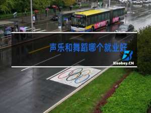 声乐和舞蹈哪个就业好