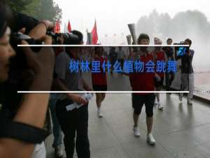 树林里什么植物会跳舞