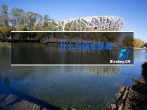 什么鸟擅长跳舞