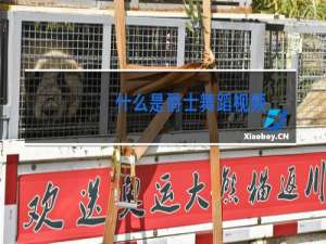 什么是爵士舞蹈视频