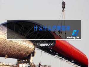 什么什么的舞蹈家