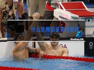 什么是舞蹈鉴赏与批评