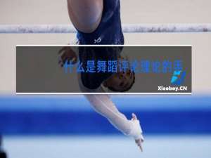 什么是舞蹈评论理论的手