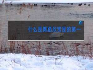 什么是舞蹈欣赏是的第一位