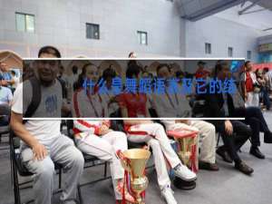 什么是舞蹈语言及它的结构层次