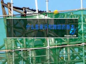 什么是音乐和舞蹈的基本属性