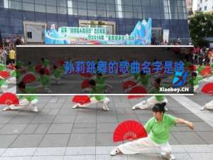 孙莉跳舞的歌曲名字是啥