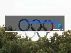 什么跳舞软件适合新手