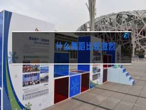 什么舞蹈比较激烈