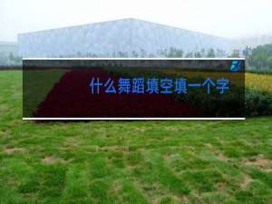 什么舞蹈填空填一个字