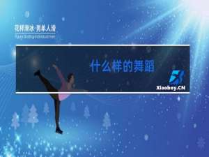 什么样的舞蹈