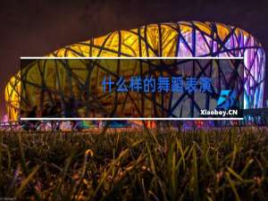 什么样的舞蹈表演