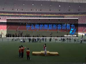 什么样的舞蹈形容词有力量