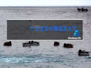 什么在空中舞蹈怎么写