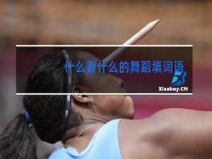 什么着什么的舞蹈填词语