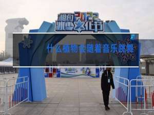 什么植物会随着音乐跳舞