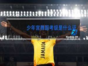 少年宫舞蹈考级是什么证书
