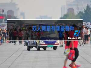 双人舞蹈有哪些舞种